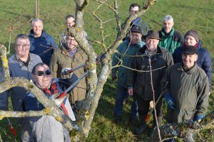Mehr über den Artikel erfahren Baumschnittkurs in Leutesheim