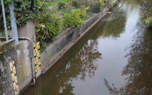 Mehr über den Artikel erfahren Landesamt für Umwelt soll Grundwasseranstieg erklären