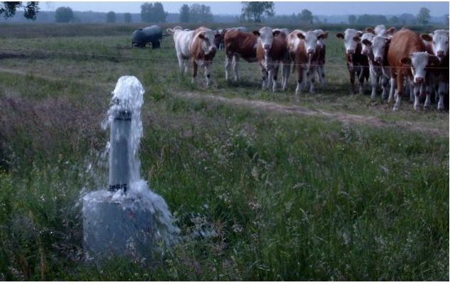 Mehr über den Artikel erfahren Grundwasserstände