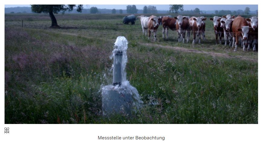 Mehr über den Artikel erfahren Grundwasserproblematik