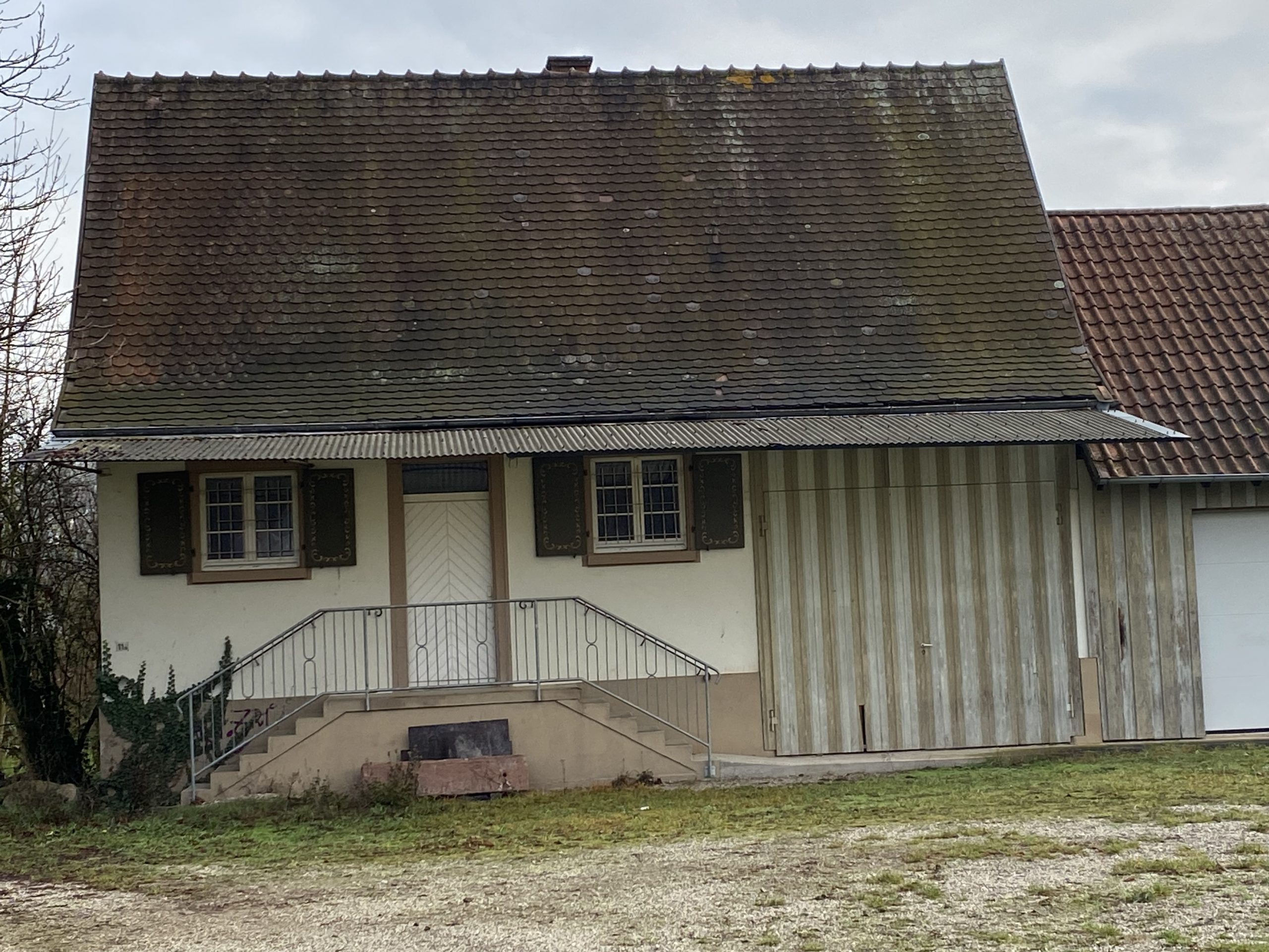 Mehr über den Artikel erfahren Milchhiesel steht auf der Verkaufsliste