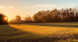 Mehr über den Artikel erfahren Leutesheim sagt „Nein“ zu erhöhten Pachtzinsen