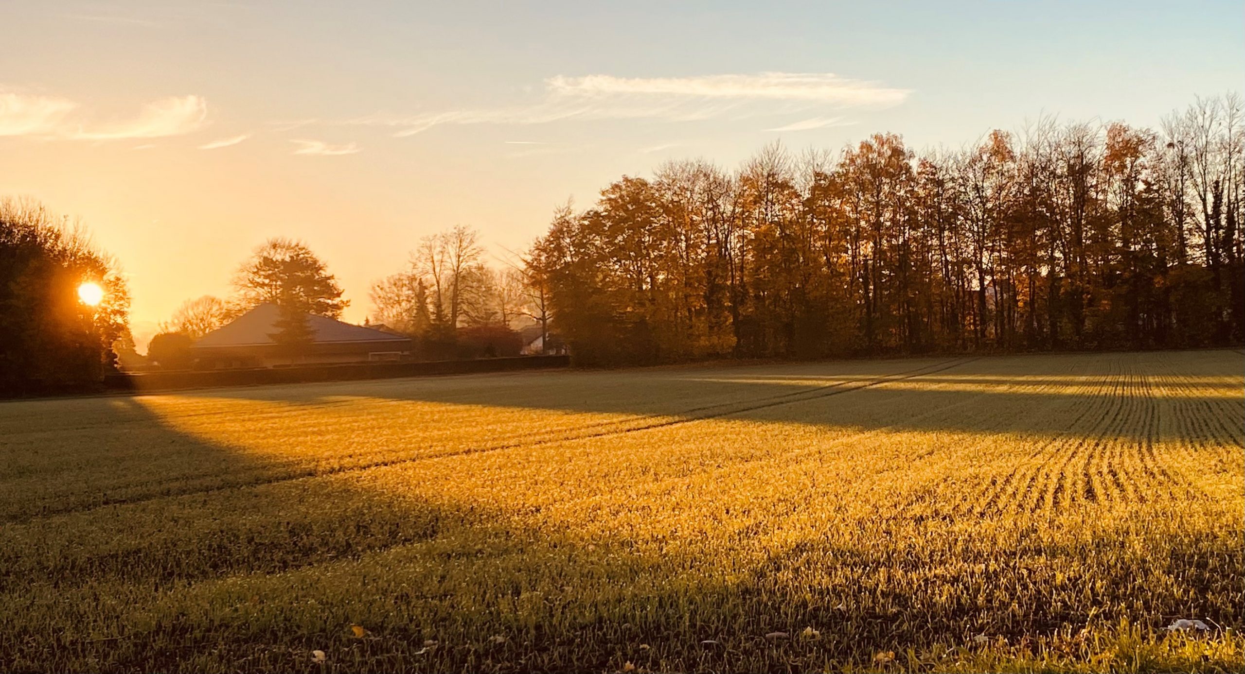 Mehr über den Artikel erfahren Leutesheim sagt „Nein“ zu erhöhten Pachtzinsen